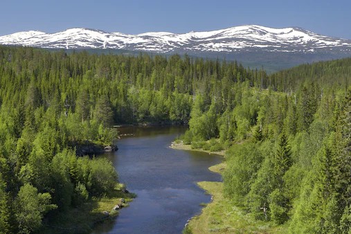 Statskog kjøper en av Norges største privateide eiendommer
