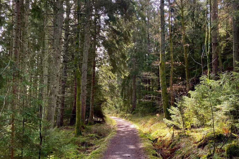 Inngår avtale om biodrivstoffprosjekt
