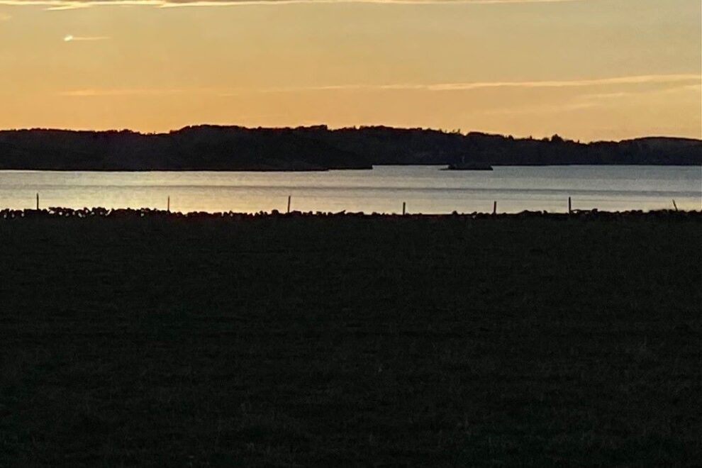Nedgang i nye aksjeselskap i 2. kvartal