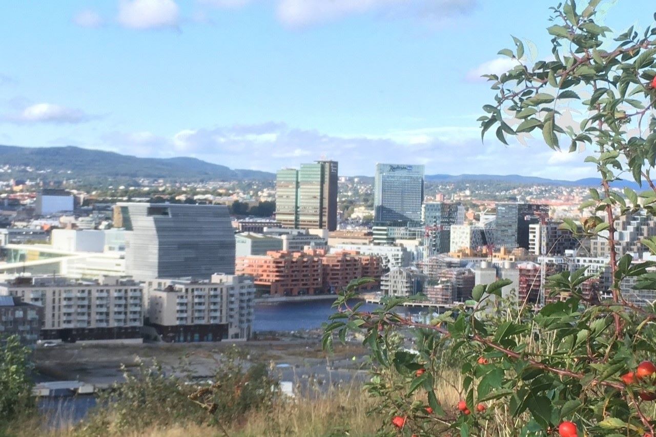 Oslo kommune har lagt fram boligtall for 2023
