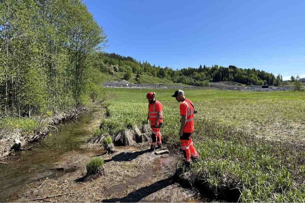 Vegvesenet vil lage fuglepark ved rv.4 på Hadeland