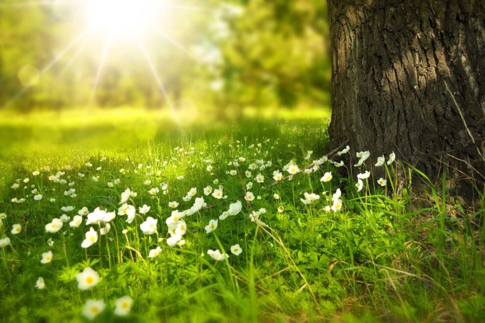 God sommer!