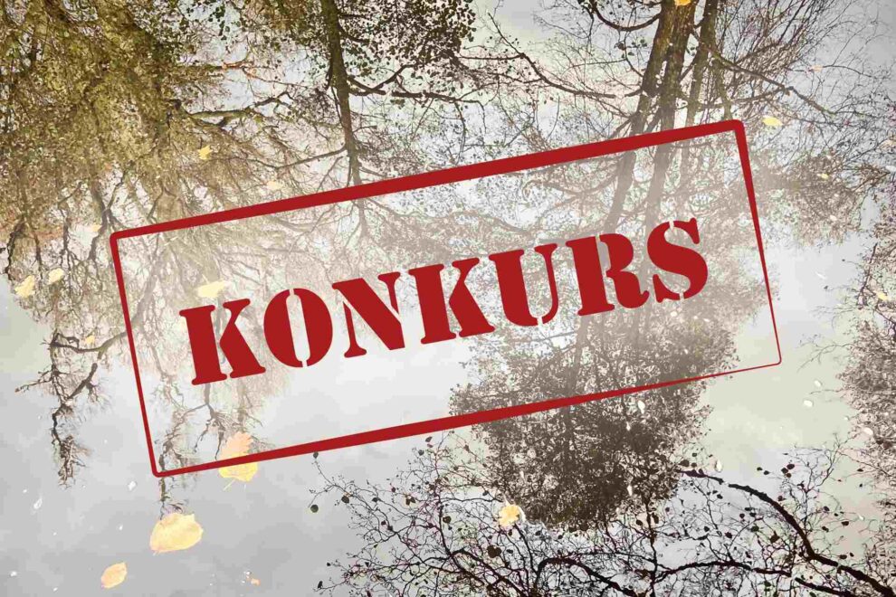Hyttebygger konkurs