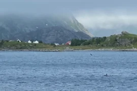 Kontrakt satt på vent etter klage Thumbnail