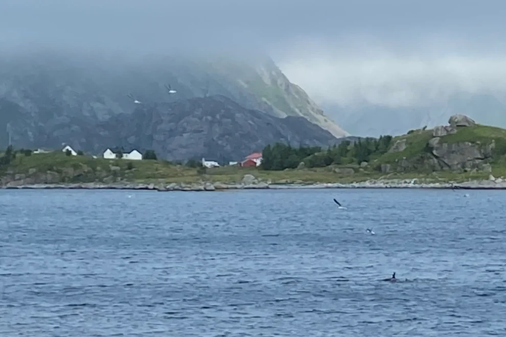 Kontrakt satt på vent etter klage