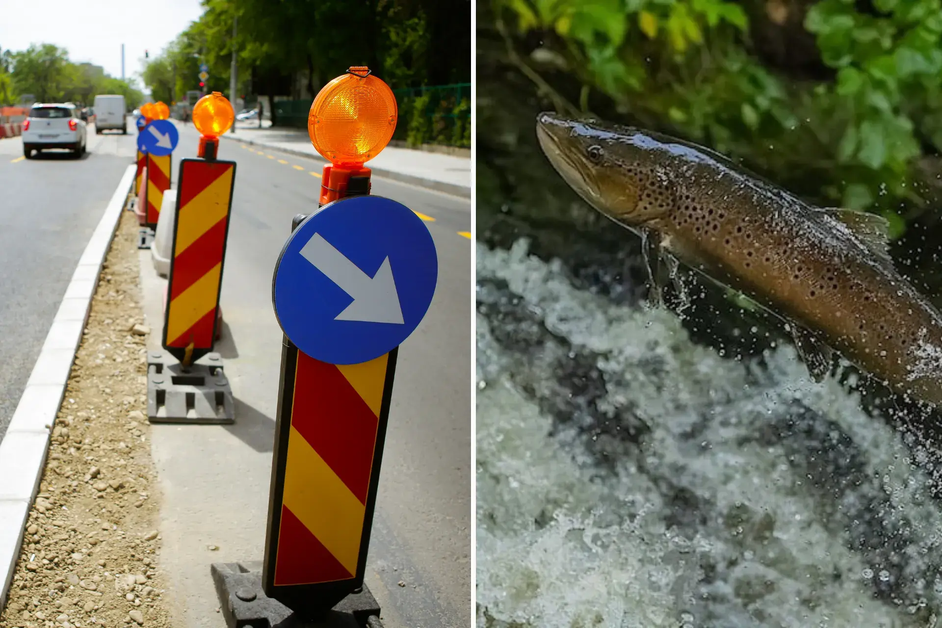 Nå sikres fiskenes veg forbi veganlegg