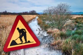Miljøorganisasjoner slakter byggforbud på myr Thumbnail