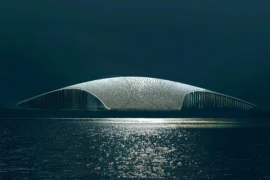 25 millionar til The Whale i Andøy kommune Thumbnail