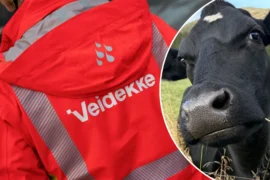 Veidekke kaprer millionkontrakt Thumbnail