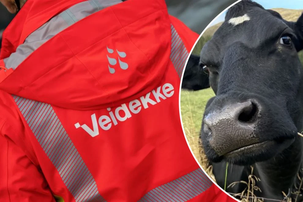 Veidekke kaprer millionkontrakt
