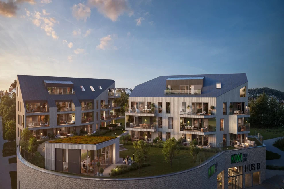 Arkitekt Eder Biesel