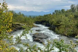 Rein og natur stopper bygging av kraftverk i Tydal Thumbnail